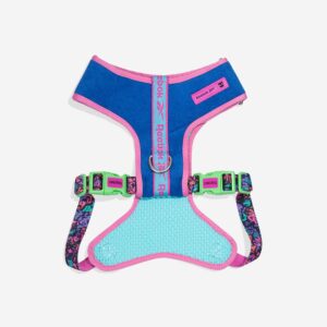 Pechera Aerobic