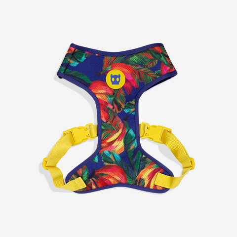 Pechera Samba