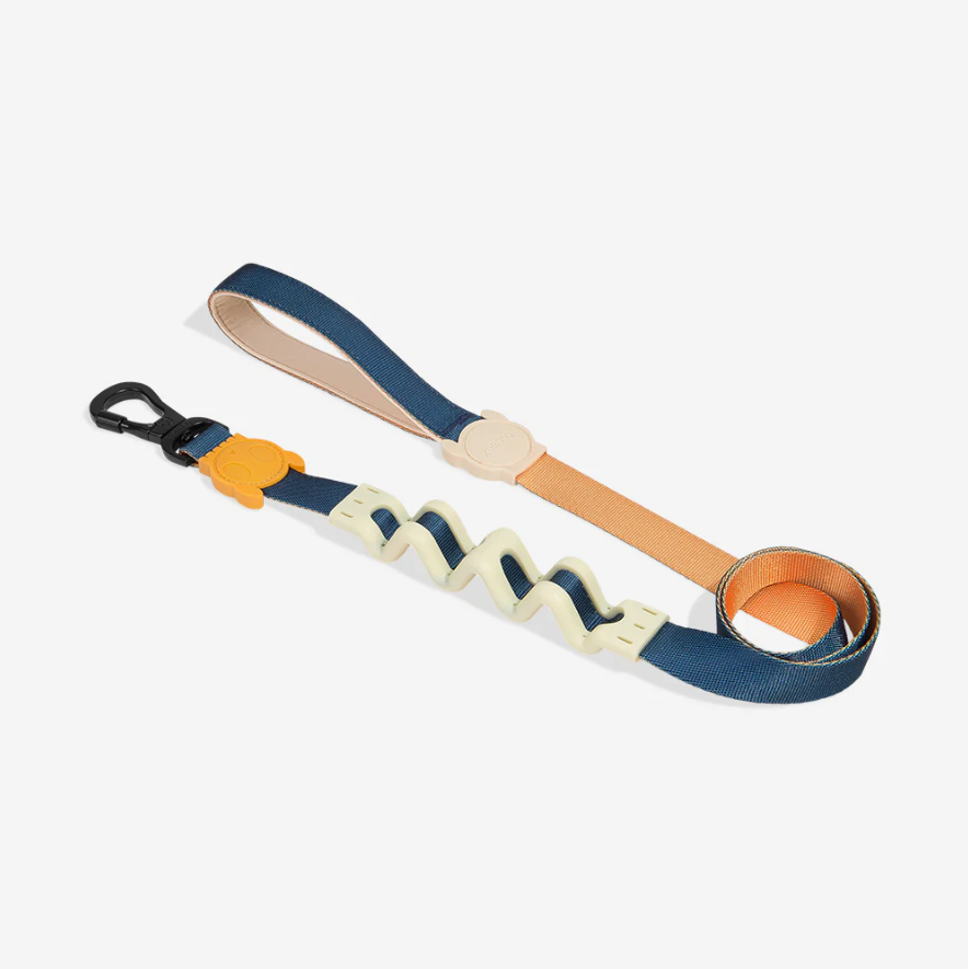 Correa Ruff Voyage