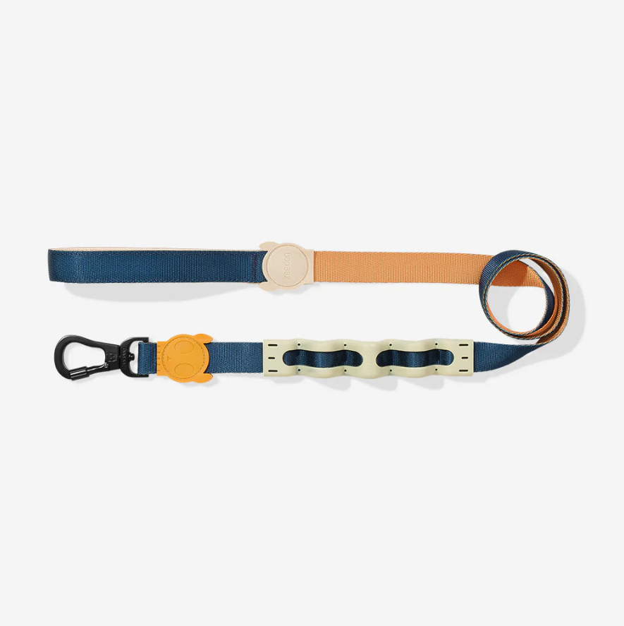 Correa Ruff Voyage